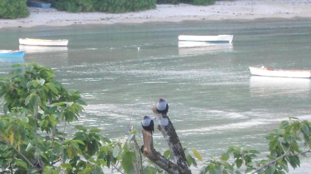 Bayview Villas Seychelles Anse Boileau Buitenkant foto